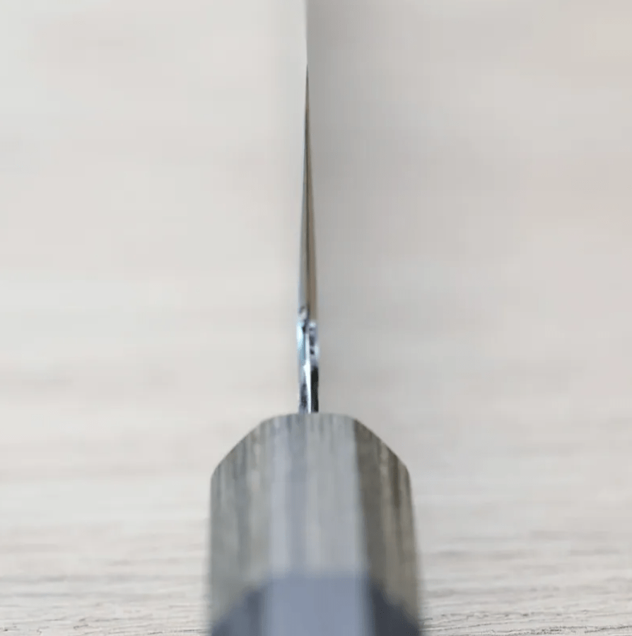 刃道 牛刀 210mm<br>SG2鋼 潮騷