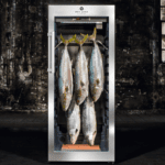 德國製 DRY AGER 頂級乾式熟成櫃