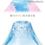 東洋佐佐木 富士櫻花 招福清酒杯