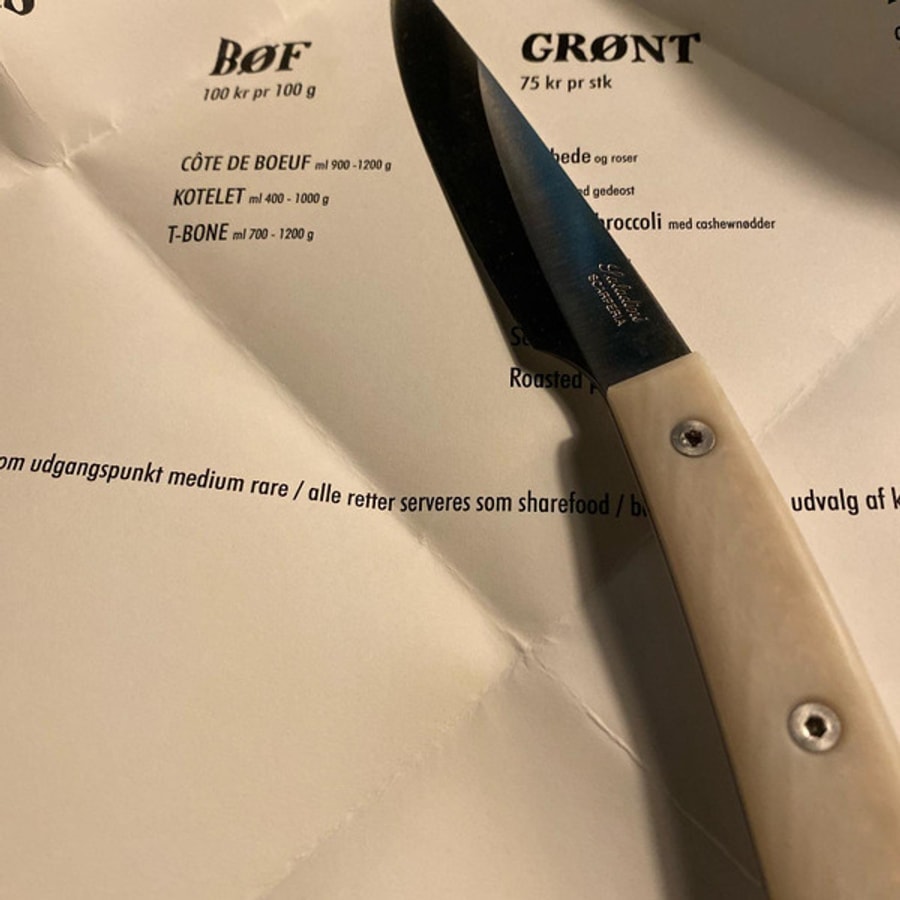 4001c-20250509141238-5 SALADINI 義大利手工牛排刀 114mm 仿白牛角象牙白色樹脂