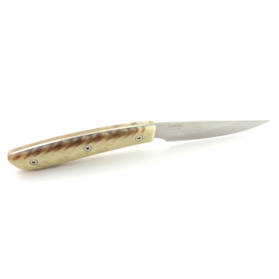 4300rfc-2 SALADINI 義大利手工牛排刀 114mm 仿白牛角樹脂
