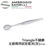 【德國Triangle】 主廚兩用試吃匙夾17CM 試吃夾 擺盤夾 銀色/金色/黑色