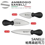 AS-S202010 SANELLI 帕馬森起司刀