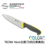 T349016Y SANELLI 山尼里 TECNA 主廚刀 16cm 七色選擇