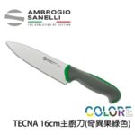 T349016Y SANELLI 山尼里 TECNA 主廚刀 16cm 七色選擇