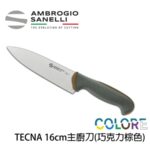 T349016Y SANELLI 山尼里 TECNA 主廚刀 16cm 七色選擇