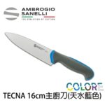 T349016Y SANELLI 山尼里 TECNA 主廚刀 16cm 七色選擇