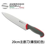 T349020Y SANELLI 山尼里 TECNA 主廚刀 20cm 八色選擇