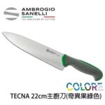T349022Y SANELLI 山尼里 TECNA 主廚刀 22cm 兩色選擇