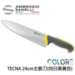 【 SANELLI 山尼里 TECNA 主廚刀 24cm 】繽紛色彩 可進洗碗機 抗菌手把 八色選擇