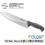 【 SANELLI 山尼里 TECNA 主廚刀 24cm 】繽紛色彩 可進洗碗機 抗菌手把 八色選擇