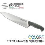 【 SANELLI 山尼里 TECNA 主廚刀 24cm 】繽紛色彩 可進洗碗機 抗菌手把 八色選擇