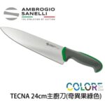 【 SANELLI 山尼里 TECNA 主廚刀 24cm 】繽紛色彩 可進洗碗機 抗菌手把 八色選擇