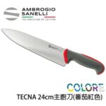 【 SANELLI 山尼里 TECNA 主廚刀 24cm 】繽紛色彩 可進洗碗機 抗菌手把 八色選擇