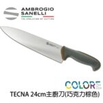 【 SANELLI 山尼里 TECNA 主廚刀 24cm 】繽紛色彩 可進洗碗機 抗菌手把 八色選擇