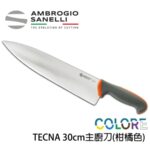T349030Y SANELLI 山尼里 TECNA 主廚刀 30cm 多色選擇