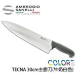 T349030Y SANELLI 山尼里 TECNA 主廚刀 30cm 多色選擇