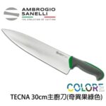 T349030Y SANELLI 山尼里 TECNA 主廚刀 30cm 多色選擇