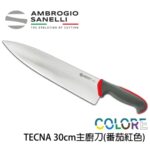 T349030Y SANELLI 山尼里 TECNA 主廚刀 30cm 多色選擇