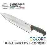 T349030Y SANELLI 山尼里 TECNA 主廚刀 30cm 多色選擇
