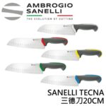 AS-TC50020G SANELLI TECNA三德刀20CM