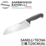 AS-TC50020G SANELLI TECNA三德刀20CM