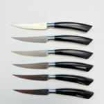 sa-4001b6-3 SALADINI 頂級手工黑牛角手柄牛排刀105mm 6把禮盒組 牛排刀 手工牛排刀 全長230mm