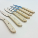 SALADINI 頂級手工仿白牛角象牙白色樹脂牛排刀114mm 六入木盒禮盒組 牛排刀 牛排刀禮盒組
