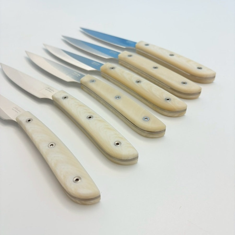 SALADINI 頂級手工仿白牛角象牙白色樹脂牛排刀114mm 六入木盒禮盒組 牛排刀 牛排刀禮盒組
