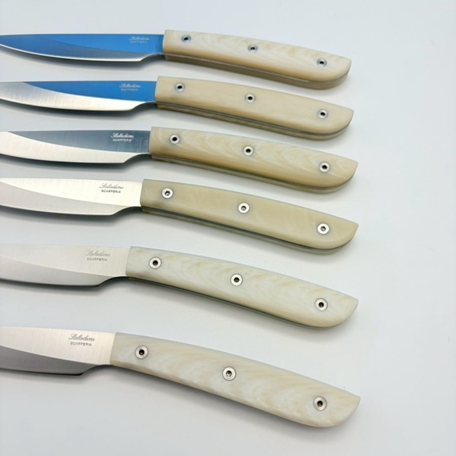 SALADINI 頂級手工仿白牛角象牙白色樹脂牛排刀114mm 六入木盒禮盒組 牛排刀 牛排刀禮盒組