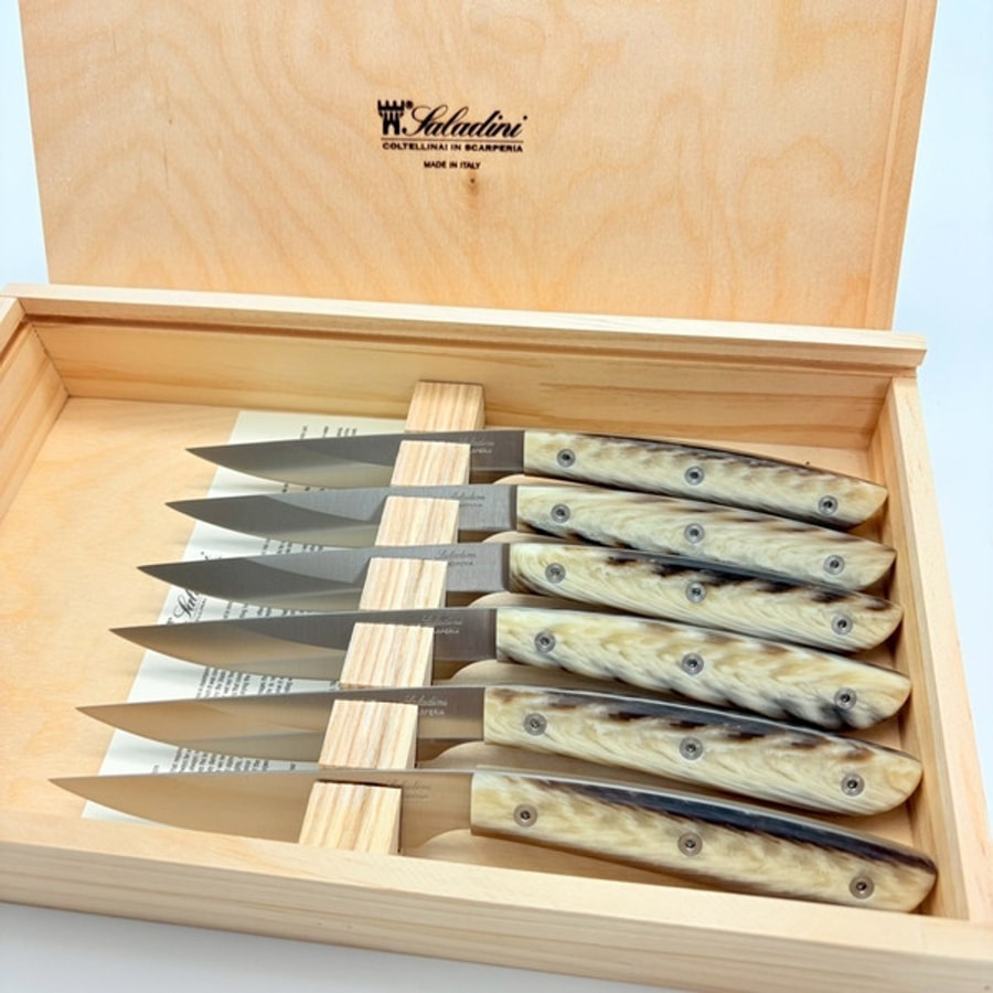 sa-4300rfc6-2 SALADINI 頂級手工仿白牛角樹脂牛排刀114mm 六入木盒禮盒組 牛排刀 牛排刀禮盒組