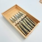 sa-4300rfc6-3 SALADINI 頂級手工仿白牛角樹脂牛排刀114mm 六入木盒禮盒組 牛排刀 牛排刀禮盒組