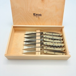 sa-4300rfc6 SALADINI 頂級手工仿白牛角樹脂牛排刀114mm 六入木盒禮盒組 牛排刀 牛排刀禮盒組