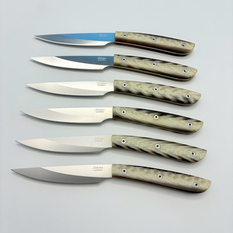 sa-4300rfc6-7 SALADINI 頂級手工仿白牛角樹脂牛排刀114mm 六入木盒禮盒組 牛排刀 牛排刀禮盒組