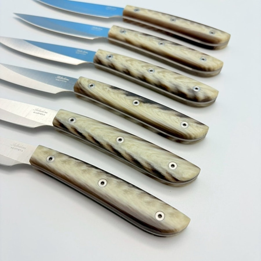 sa-4300rfc6-8 SALADINI 頂級手工仿白牛角樹脂牛排刀114mm 六入木盒禮盒組 牛排刀 牛排刀禮盒組