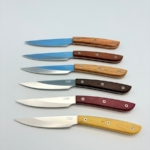 SALADINI 頂級手工綜合木頭牛排刀114mm六入木盒禮盒組 牛排刀 綜合木頭 牛排刀套組 copy