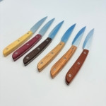 SALADINI 頂級手工綜合木頭牛排刀114mm六入木盒禮盒組 牛排刀 綜合木頭 牛排刀套組 copy