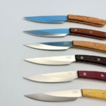 SALADINI 頂級手工綜合木頭牛排刀114mm六入木盒禮盒組 牛排刀 綜合木頭 牛排刀套組 copy