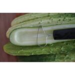 【TRIANGLE德國三角牌】蔬果大取芯器12cm(大黃瓜去核 去籽 挖孔器 水果去籽器)
