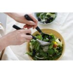 【TRIANGLE德國三角牌】 桌邊服務夾(兩件沙拉餐具 湯匙+有洞的湯匙)高級餐廳