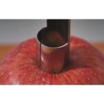【TRIANGLE德國三角牌】蘋果取芯器 蘋果去核器