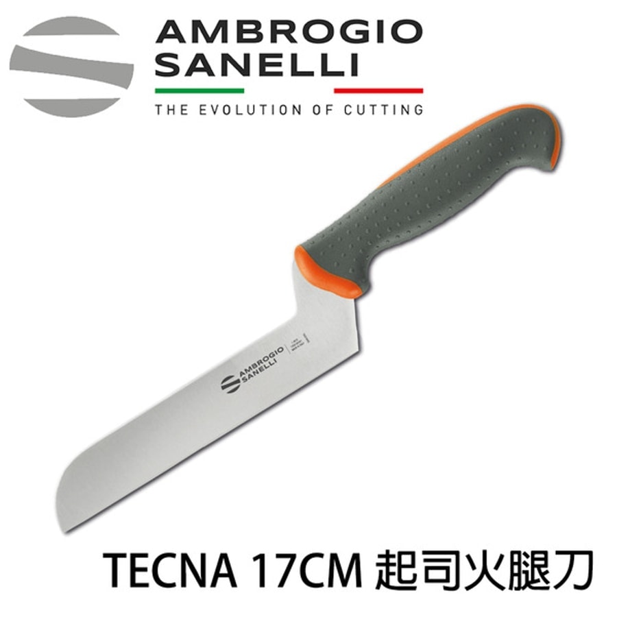 T245017 SANELLI TECNA 起司刀 170mm 雙色選擇:圖片 2